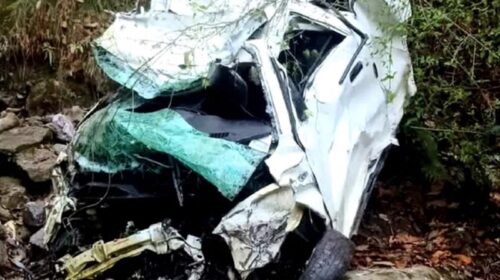 Himachal Road Accident: गहरी खाई में लुढ़की पर्यटकों की कार! तीन ने गवाई जान, तीन की हालत नाजुक