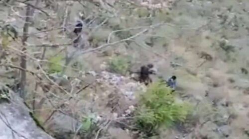 Himachal News Alert: खाई में गिरने से दो युवकों की मौ**त! पुलिस ने बरामद किए शव, हादसे के कारणों की जाँच तेज़