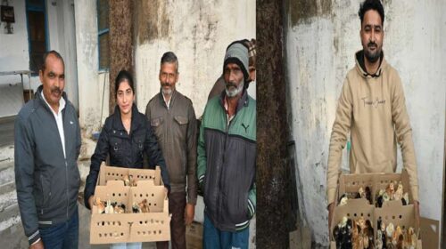 Sirmour News: कभी आर्थिक तंगी से जूझ रहे थे उर्वशी, प्रदीप और मुकेश! अब बैकयार्ड पोल्ट्री स्कीम से हो रही अच्छी कमाई
