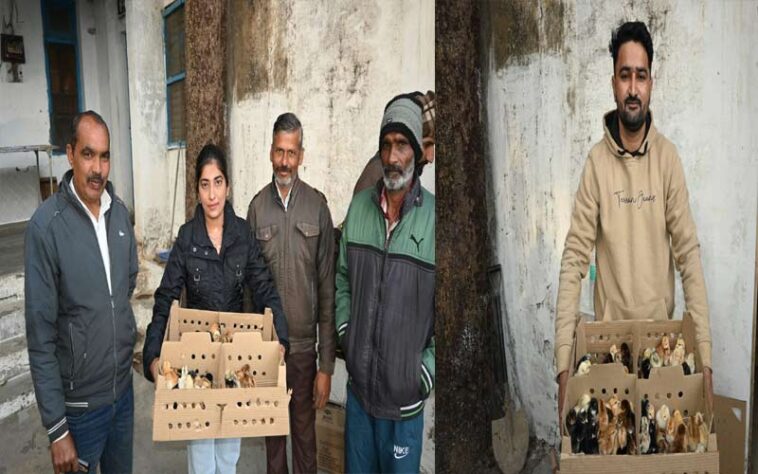 Sirmour News: कभी आर्थिक तंगी से जूझ रहे थे उर्वशी, प्रदीप और मुकेश! अब बैकयार्ड पोल्ट्री स्कीम से हो रही अच्छी कमाई