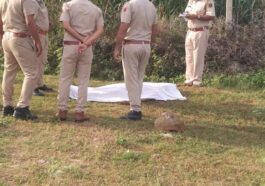 Himachal News : खेत में मिला विवाहिता का शव! मायके पक्ष ने लगाए ह**त्या के आरोप, बोले- बेटी को करते थे प्रताड़ित