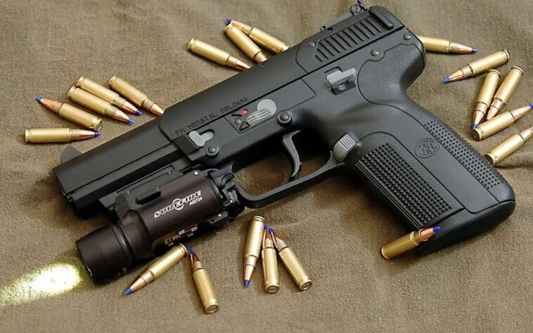 Paonta Sahib : पांवटा में अवैध पिस्टल और 08 जिंदा रौन्द बरामद! हिरासत में लिया युवक