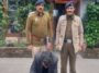 Himachal Crime News: हिमाचल में 288 ग्राम चिट्टा पकड़ा! इस साल की सबसे बड़ी खेप, लाखों में कीमत