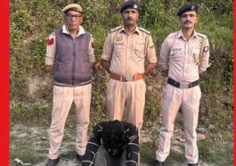 Himachal Crime News: स्पेशल सेल का बड़ा एक्शन! सरकारी बस में चरस की तस्करी कर रहा युवक काबू, 5.652 किलो खेप जब्त