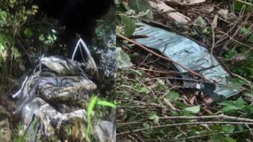 भीषण सड़क हादसा: गहरी खाईं में गिरते ही कार के उड़े परखच्चे! दो घरों के चिराग बुझे