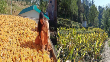 HP News: हिमाचल में प्राकृतिक खेती का बढ़ा क्रेज! नीलम और प्रेमलता की बढ़ी आमदनी, आर्थिकी में हुआ सुधार