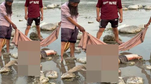 पांवटा साहिब में दर्दनाक घटना: यमुना से मिला 15 वर्षीय किशोरी का श*व! 19 अप्रैल से थी