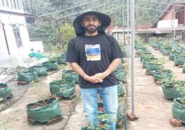 Achievement: हिमाचल के इंजीनियर ने घर की छत पर उगा दी 1,000 ब्लूबेरी! CM सुक्खू ने थपथपाई पीठ, ₹3000 किलो बिकेगा फल