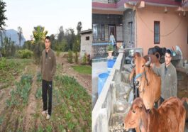 Success Story: प्राकृतिक खेती से बदली रवि दत्त की जिंदगी! प्राकृतिक कृषि मॉडल अपनाकर कम लागत में कर रहे बेहतर उत्पादन