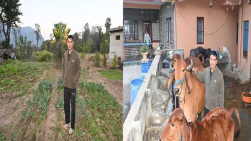 Success Story: प्राकृतिक खेती से बदली रवि दत्त की जिंदगी! प्राकृतिक कृषि मॉडल अपनाकर कम लागत में कर रहे बेहतर उत्पादन