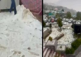 Himachal Weather: शिमला में कुदरत का कहर! भारी ओलावृष्टि से बिछी 3 इंच सफेद चादर, फसलें तबाह