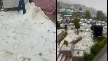 Himachal Weather: शिमला में कुदरत का कहर! भारी ओलावृष्टि से बिछी 3 इंच सफेद चादर, फसलें तबाह