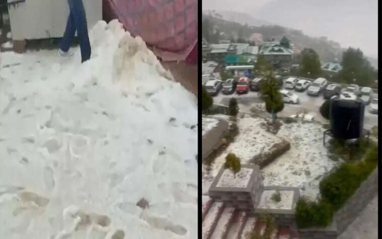 Himachal Weather: शिमला में कुदरत का कहर! भारी ओलावृष्टि से बिछी 3 इंच सफेद चादर, फसलें तबाह