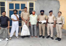 Paonta Sahib : पांवटा में अफीम की खेती का पर्दाफाश! घर से भारी मात्रा में चूरा पोस्त भी बरामद