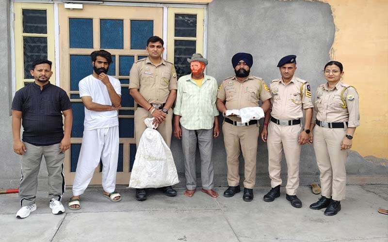 Paonta Sahib : पांवटा में अफीम की खेती का पर्दाफाश! घर से भारी मात्रा में चूरा पोस्त भी बरामद