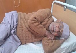 Himachal News Update: गेहूं की फसल काट रहे लोगो पर रंगड़ों का हमला! तीन घायल, अन्य ने भाग कर बचाई जान