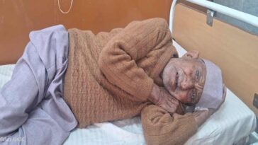 Himachal News Update: गेहूं की फसल काट रहे लोगो पर रंगड़ों का हमला! तीन घायल, अन्य ने भाग कर बचाई जान