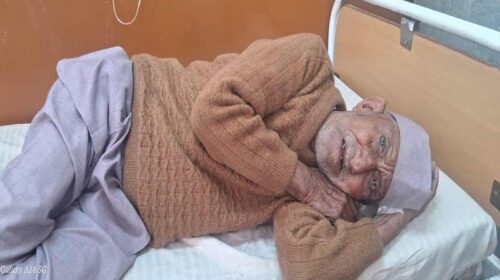 Himachal News Update: गेहूं की फसल काट रहे लोगो पर रंगड़ों का हमला! तीन घायल, अन्य ने भाग कर बचाई जान