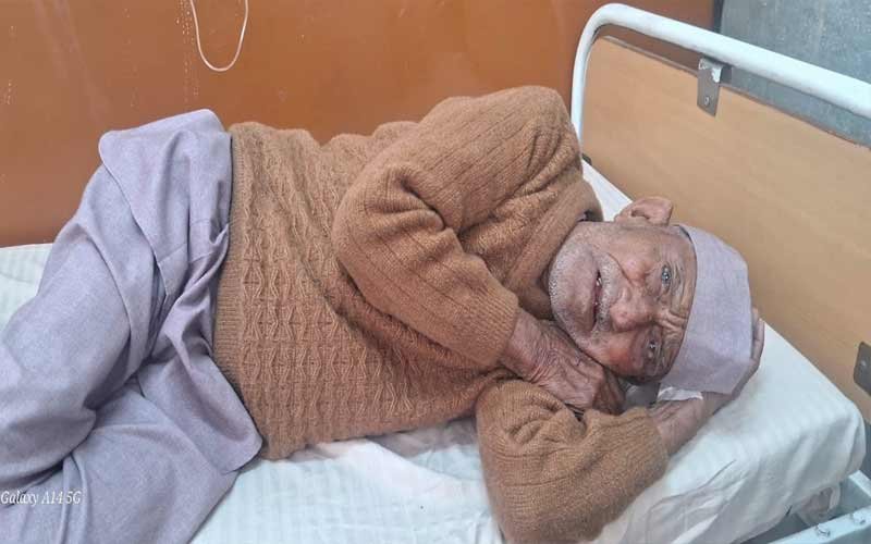 Himachal News Update: गेहूं की फसल काट रहे लोगो पर रंगड़ों का हमला! तीन घायल, अन्य ने भाग कर बचाई जान