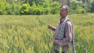 Himachal News: संजीव कुमार ने रासायनिक छोड़कर अपनाई प्राकृतिक खेती! अब घर बैठे कमा रहे मोटा मुनाफा