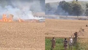 Paonta Sahib: पांवटा में कटाई से पहले राख हुई मेहनत की फसल! 50 बीघा गेहूं स्वाहा, किसान मायूस