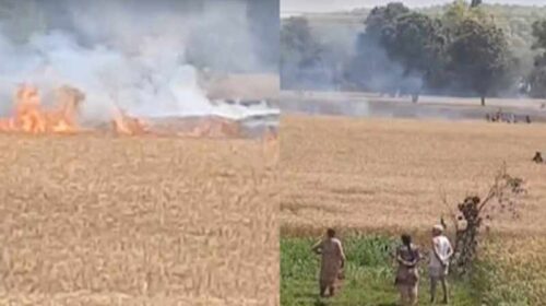 Paonta Sahib: पांवटा में कटाई से पहले राख हुई मेहनत की फसल! 50 बीघा गेहूं स्वाहा, किसान मायूस