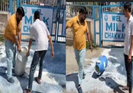 Himachal Latest News: कर्ज के बोझ तले दबे पशुपालक का छलका दर्द! 500 लीटर दूध बहाया, सरकार के खिलाफ खोला मोर्चा