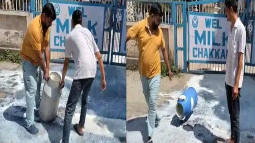 Himachal Latest News: कर्ज के बोझ तले दबे पशुपालक का छलका दर्द! 500 लीटर दूध बहाया, सरकार के खिलाफ खोला मोर्चा