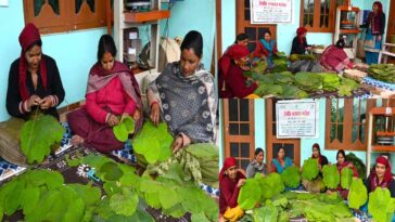 Success Story: हिमाचल की महिलाओं ने ‘टौर’ के पत्तों को बनाया कमाई का जरिया! सालाना कमा रहीं लाखों, मोबाइल पर मिल रहे ऑर्डर