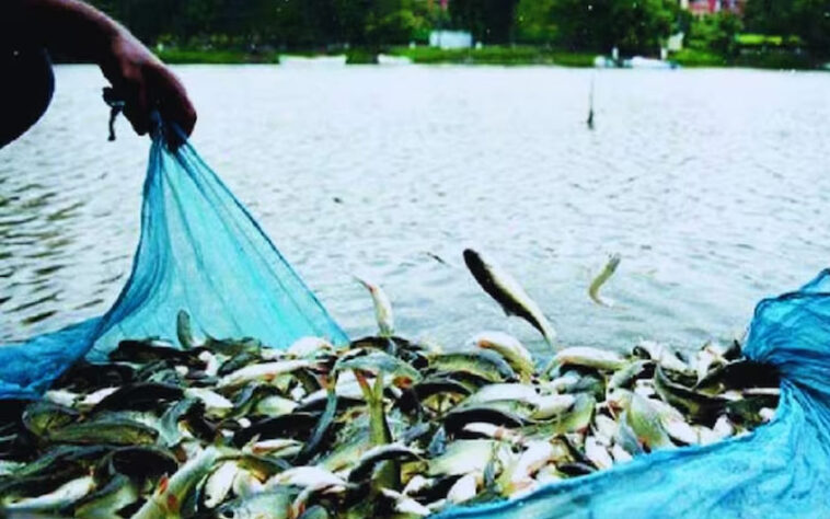 ऐतिहासिक पहलः जलाशय मछलियों के लिए एमएसपी लागू! रॉयल्टी घटाकर 1 प्रतिशत की