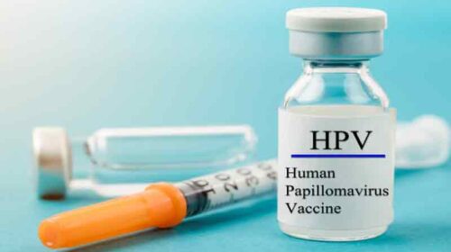 HP News: क्या आपकी बेटी 14-15 साल की है? तो तुरंत लगवाएं HPV टीका, वरना विदेश जाने का सपना रह जायेगा अधूरा HP News: क्या आपकी बेटी 14-15 साल की है? तो तुरंत लगवाएं HPV टीका, वरना विदेश जाने का सपना रह जायेगा अधूरा