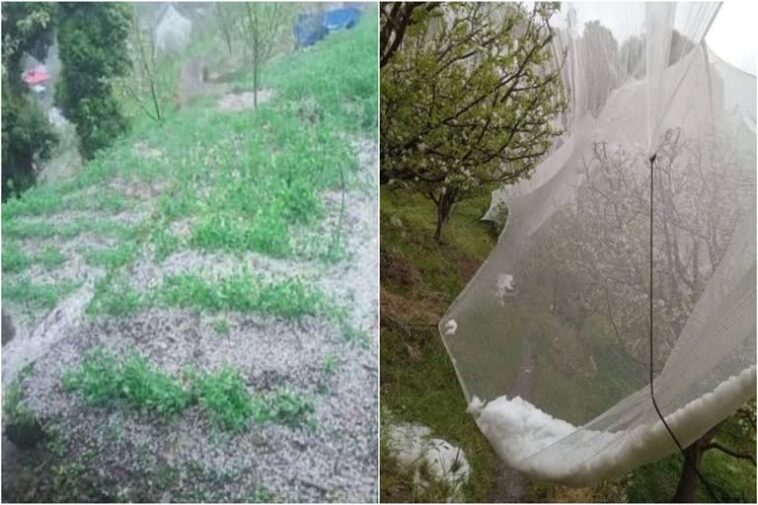हिमाचल में मौसम का कहर: 10 जिलों में आंधी-तूफान और बिजली गिरने का अलर्ट, सेब फसल को भारी नुकसान
