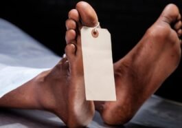 हिमाचल प्रदेश में सनसनी: सेब के बगीचे में अकेली रह रही बुजुर्ग महिला की ह*त्*या, चोरी का भी शक