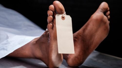 हिमाचल प्रदेश में सनसनी: सेब के बगीचे में अकेली रह रही बुजुर्ग महिला की ह*त्*या, चोरी का भी शक हिमाचल प्रदेश में सनसनी: सेब के बगीचे में अकेली रह रही बुजुर्ग महिला की ह*त्*या, चोरी का भी शक