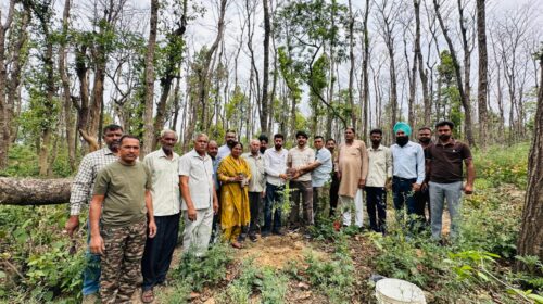 पांवटा साहिब: विश्व पर्यावरण दिवस पर रोहित चौधरी ने किया वृक्षारोपण, हरित भविष्य का दिया संदेश