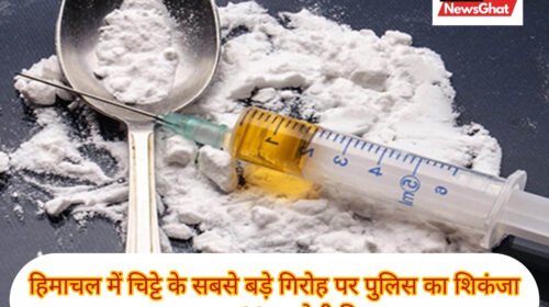 हिमाचल में चिट्टे के सबसे बड़े गिरोह पर पुलिस का शिकंजा, 22 आरोपी गिरफ्तार