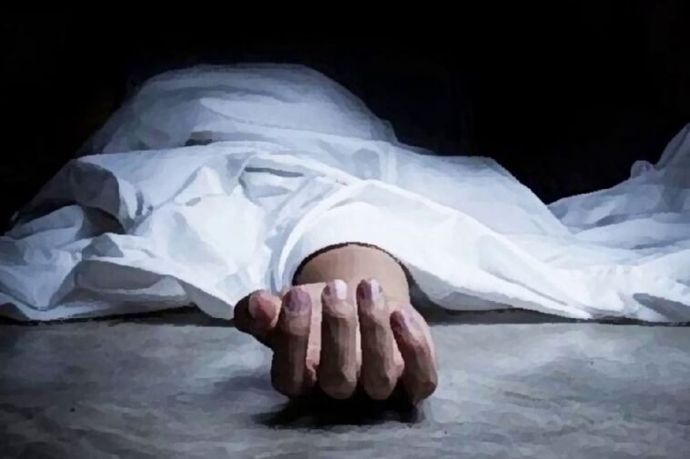 Paonta Sahib (क्यारदा) में दर्दनाक हादसा: अज्ञात वाहन की टक्कर से पैदल यात्री की मौ*त, जांच में जुटी पुलिस…