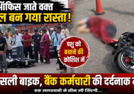 ऑफिस जाते वक्त काल बन गया रास्ता! पशु को बचाने की कोशिश में फिसली बाइक, बैंक कर्मचारी की दर्दनाक मौत