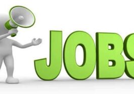 Job Alert!!! 10वीं से ग्रेजुएट तक के लिए सुनहरा मौका! सोलन में 200 पदों पर भर्ती, 26 अगस्त को सीधे इंटरव्यू