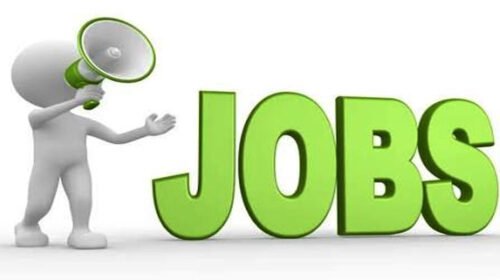 Job Alert!!! 10वीं से ग्रेजुएट तक के लिए सुनहरा मौका! सोलन में 200 पदों पर भर्ती, 26 अगस्त को सीधे इंटरव्यू Job Alert!!! 10वीं से ग्रेजुएट तक के लिए सुनहरा मौका! सोलन में 200 पदों पर भर्ती, 26 अगस्त को सीधे इंटरव्यू