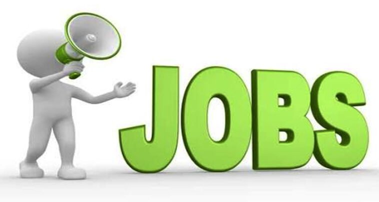 Job Alert!!! 10वीं से ग्रेजुएट तक के लिए सुनहरा मौका! सोलन में 200 पदों पर भर्ती, 26 अगस्त को सीधे इंटरव्यू Job Alert!!! 10वीं से ग्रेजुएट तक के लिए सुनहरा मौका! सोलन में 200 पदों पर भर्ती, 26 अगस्त को सीधे इंटरव्यू