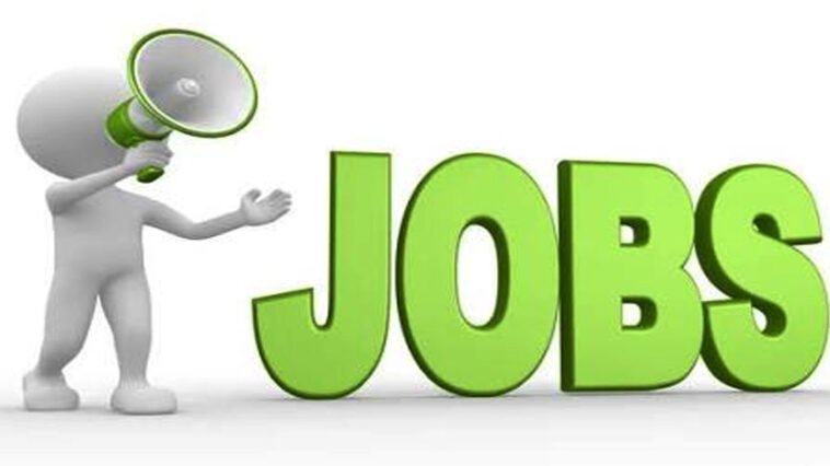 Job Alert!!! 10वीं से ग्रेजुएट तक के लिए सुनहरा मौका! सोलन में 200 पदों पर भर्ती, 26 अगस्त को सीधे इंटरव्यू
