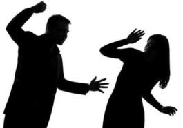 हिमाचल प्रदेश: शराब के नशे में पत्नी से मारपीट का आरोप, साले की शिकायत पर पति के खिलाफ केस दर्ज