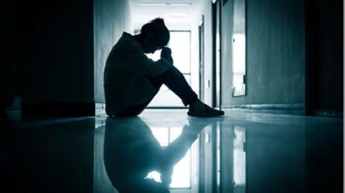 शर्मसार! हिमाचल घूमने आई हरियाणा की महिला के साथ होटल में दुष्कर्म, ट्रिप कैप्टन पर आरोप और केस दर्ज…..