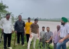 बारिश भी नहीं रोक सकी कर्मचारियों का जोश! पांवटा साहिब में भीगते हुए किया पौधारोपण, दिया पर्यावरण बचाने का संदेश