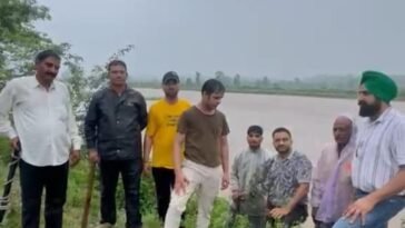 बारिश भी नहीं रोक सकी कर्मचारियों का जोश! पांवटा साहिब में भीगते हुए किया पौधारोपण, दिया पर्यावरण बचाने का संदेश