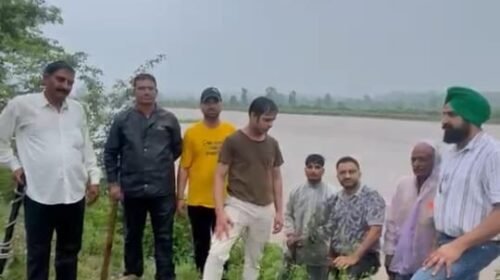 बारिश भी नहीं रोक सकी कर्मचारियों का जोश! पांवटा साहिब में भीगते हुए किया पौधारोपण, दिया पर्यावरण बचाने का संदेश बारिश भी नहीं रोक सकी कर्मचारियों का जोश! पांवटा साहिब में भीगते हुए किया पौधारोपण, दिया पर्यावरण बचाने का संदेश