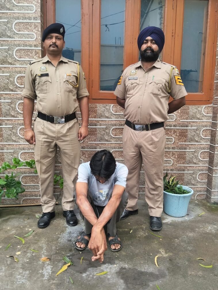 पांवटा साहिब में 8 ग्राम चिट्टे के साथ युवक गिरफ्तार, माजरा पुलिस ने घर में दबिश देकर पकड़ा पांवटा साहिब में 8 ग्राम चिट्टे के साथ युवक गिरफ्तार, माजरा पुलिस ने घर में दबिश देकर पकड़ा
