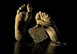 हिमाचल में दर्दनाक हादसा: रेलवे पिल्लर से गिरकर 20 वर्षीय मजदूर की मौ**त, 5 पर केस