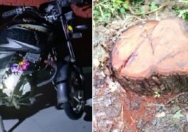सिरमौर में खैर तस्करों पर वन विभाग की रेड, लाखों की लकड़ी और बाइक छोड़ भागे आरोपी